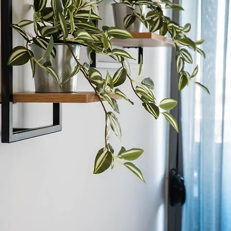 Syggrou Project 44 Apartment